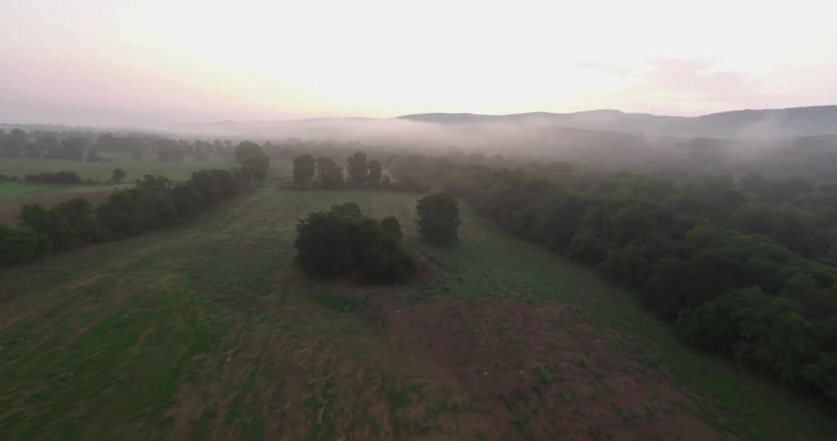 A large field with trees lining it and fog in the distance