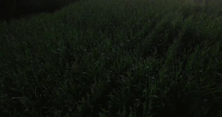 View of a large field on a cloudy day