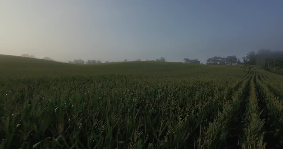 View of a field on a sunny day