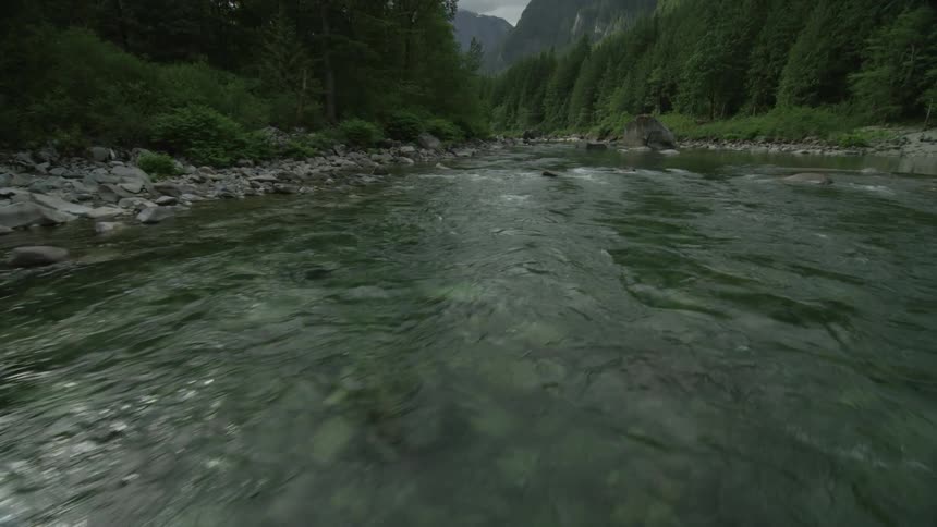 View of a rushing river lined with trees