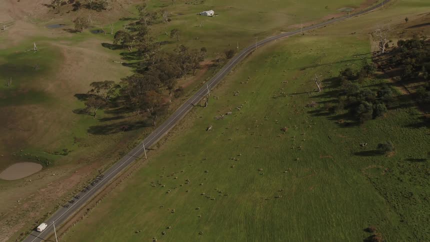 Bicyclists ride on a rural road
