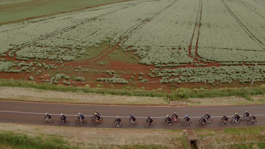 A group of cyclists riding down a street