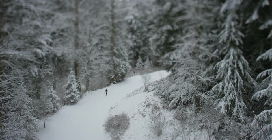 A person walking in the snow