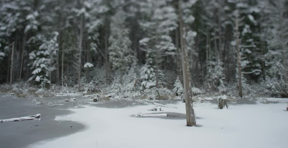 A low flying view of a frozen lake and snow-covered trees