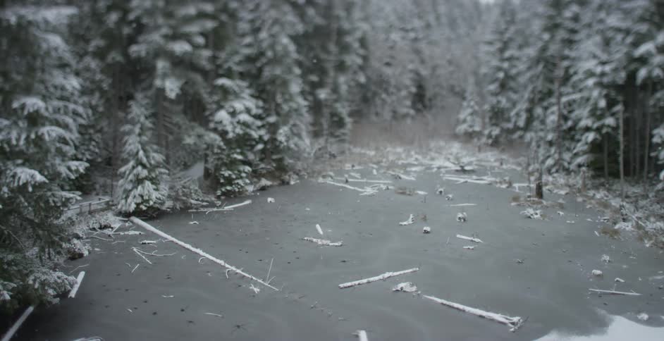 An opening in a heavily wooded forest dusted with snow
