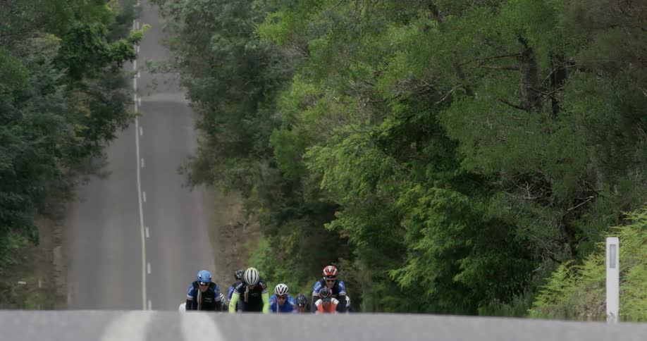 A group of bicyclists ride up a hill