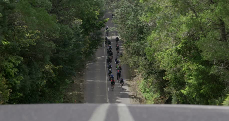 People riding bikes down a tree lined hilly street