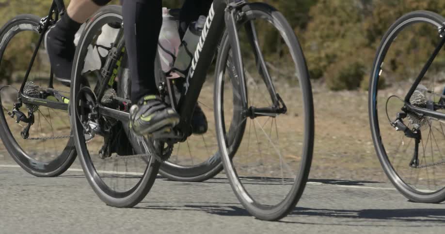 Bicyclists ride on a sunny day