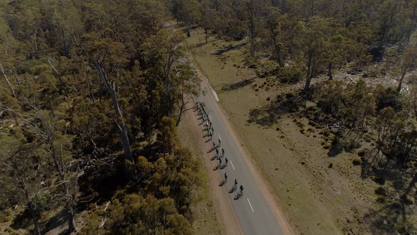 A group of cyclists on a rural road