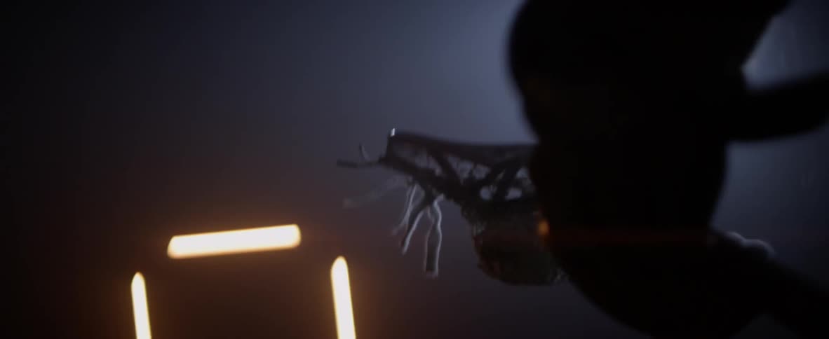Person moves a lacrosse stick around in dim light
