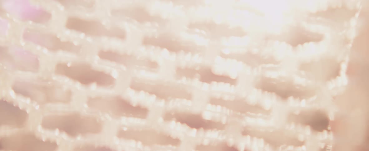 A person stretches a mesh net