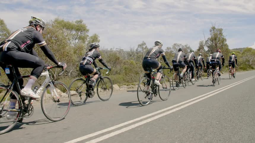 Large group of people riding bicycles on a tree lined road
