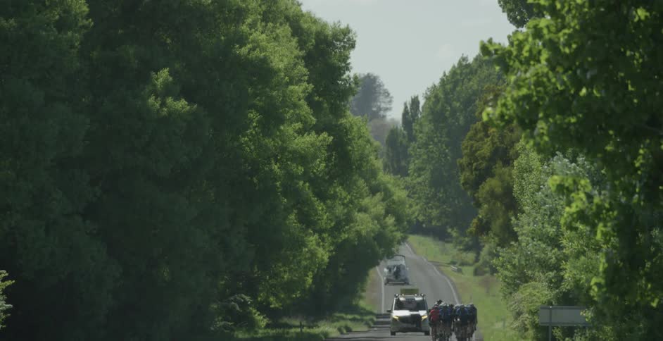 Trees blow gently as a group of bicyclists ride down the road