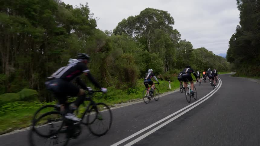 Cyclists ride their bikes on a tree lined road