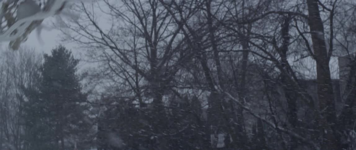 Person waves a lacrosse stick outside on a snowy day