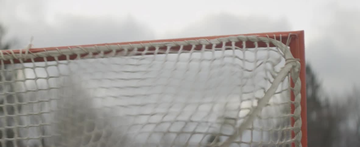 A ball is tossed into the webbing of a net