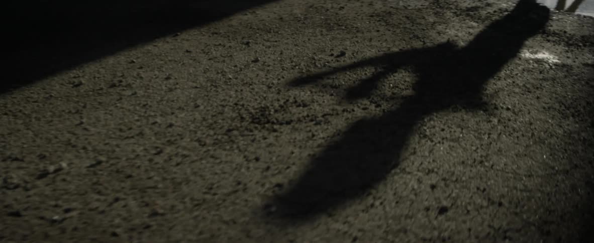 A person is swinging a lacrosse stick is casting a shadow on the ground