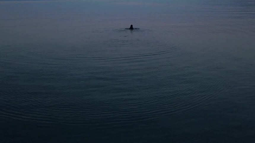 A woman swims in a lake at sunset