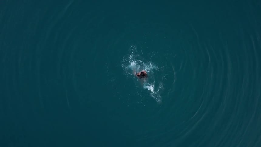 A woman swims in the ocean
