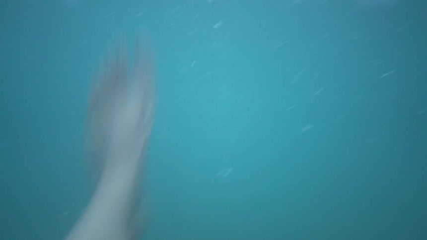 A person flails their legs and feet underwater
