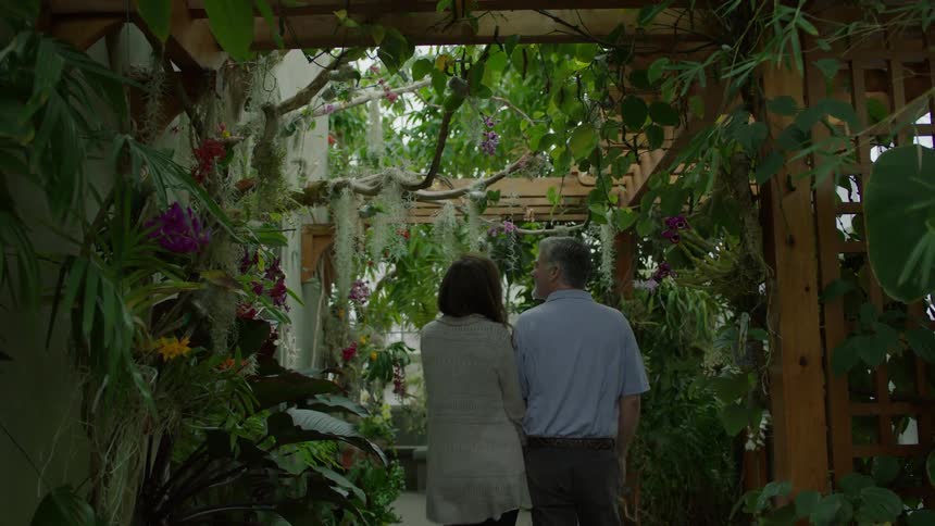 A man and woman walk under plant lined trellis