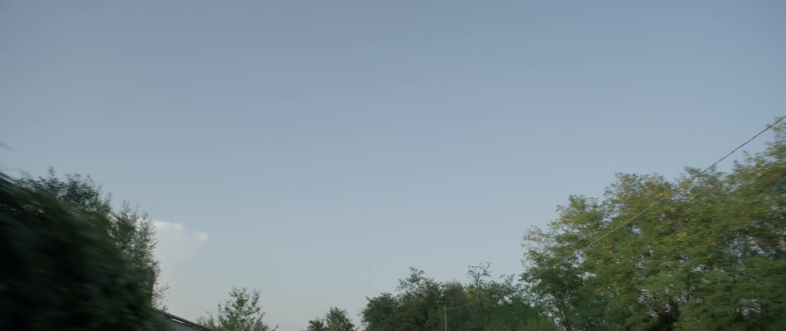 A sports car speeds down a tree lined road