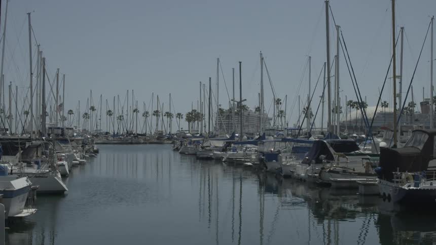 Many boats are docked in this pier