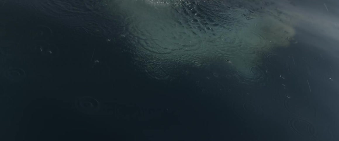 A man dives into the water from a boat