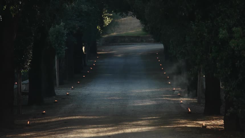 Lanterns lit up line a dirt road under trees