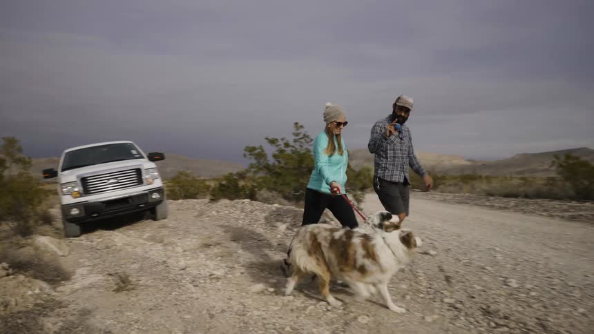 People walk their dogs down the trail from a truck