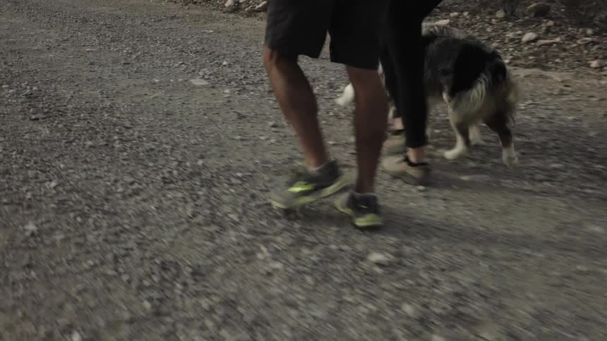 A man and woman walk their dogs on a gravel road