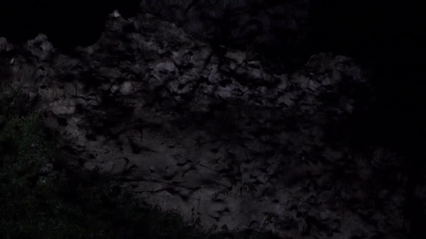 Bats stream out of a cave mouth at dusk