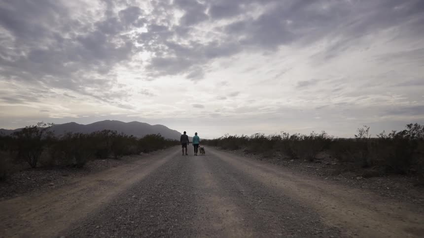 A man and woman walk their dogs on a dirt road
