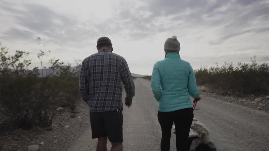 Two people briskly walk as they walk their dogs