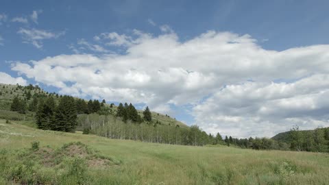 The hills lead to a forest ahead