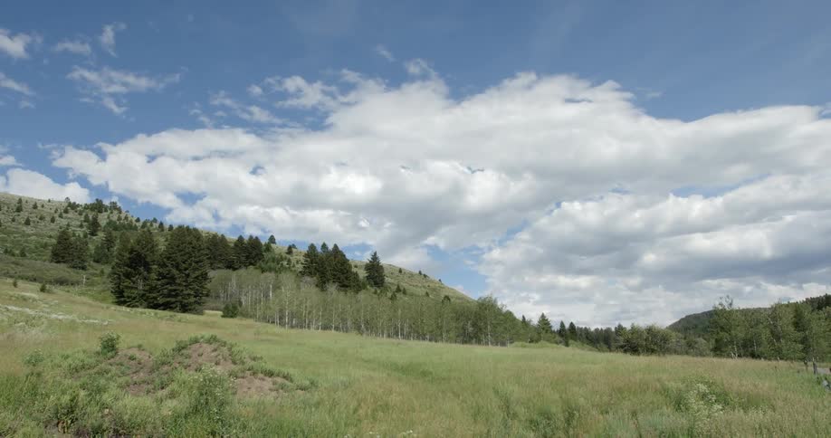 The hills lead to a forest ahead