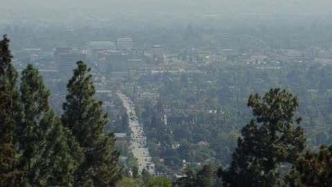 View of a tree covered city