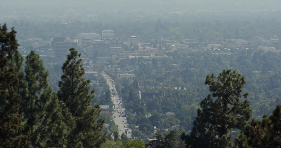 View of a tree covered city