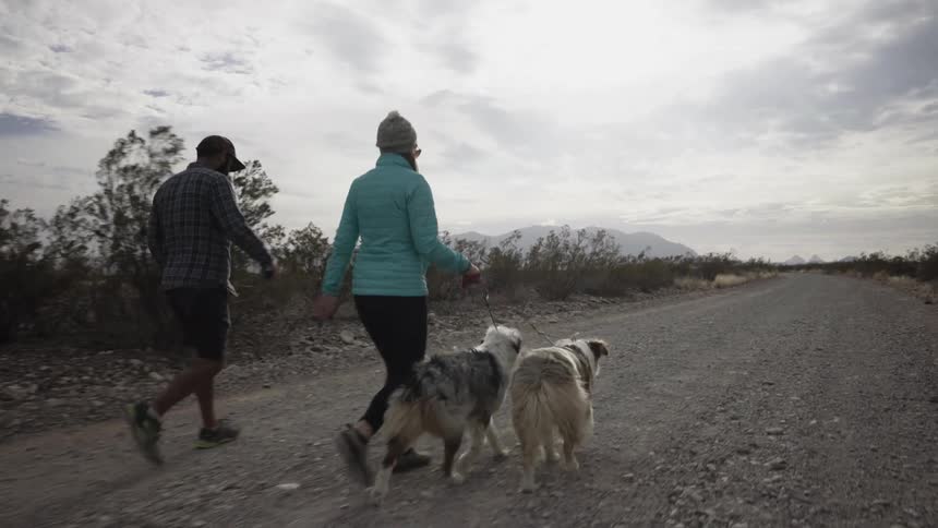 A man and woman walk a dirt road with their two dogs