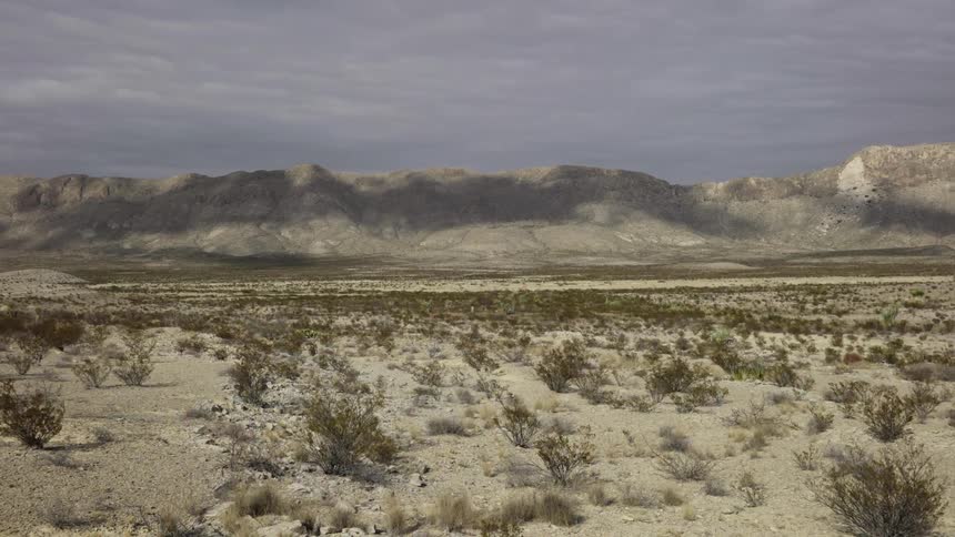 Plants are spares through a desert landscape