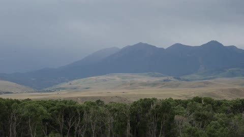 Trees grow with mountains in the distance on a cloudy day