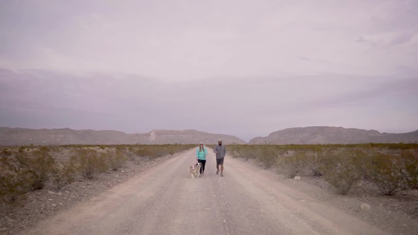 A man and woman walk their dogs down a dirt road