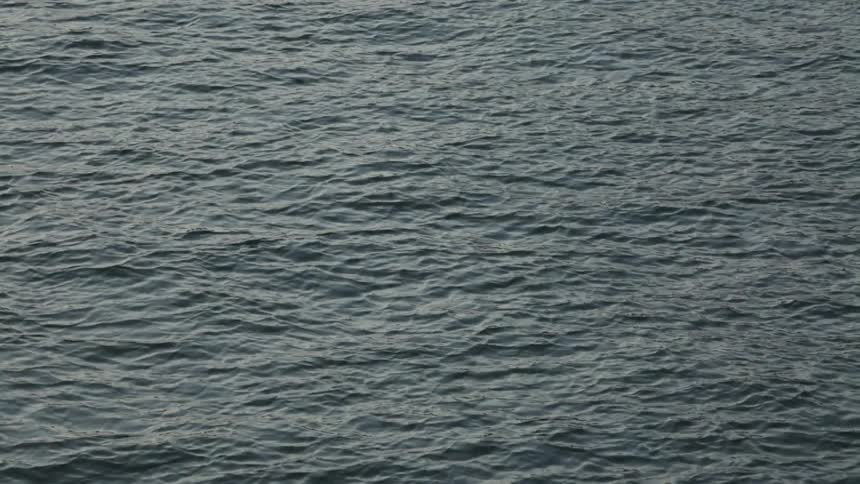 Small ripples on a body of water