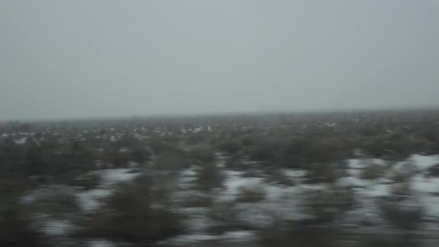 Traveling view of snowy brushy landscape