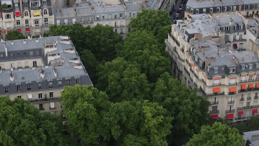 Trees between city buildings