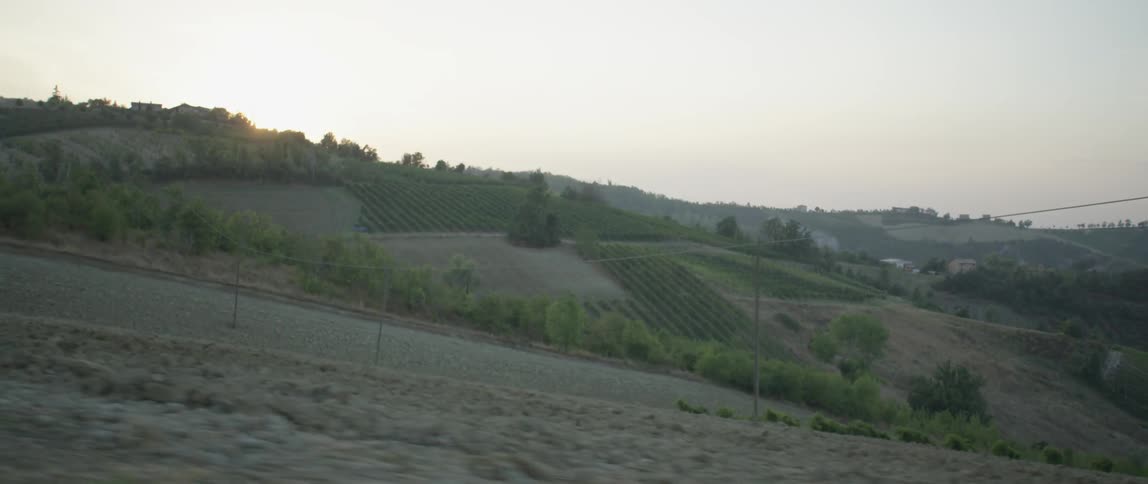 Trees line the road next to a hilly landscape