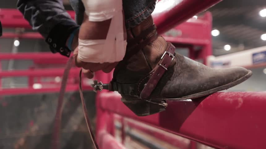 A bull rider straps his boots