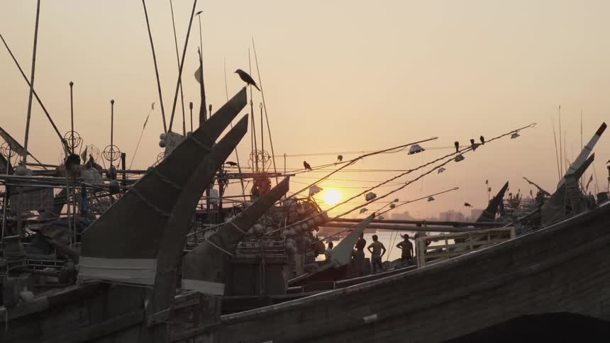 Birds land on poles and flags wave on a pier at sunset