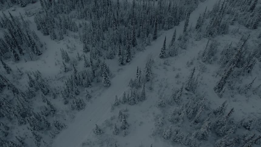 Slow orbit above an icy forest trail covered with snow