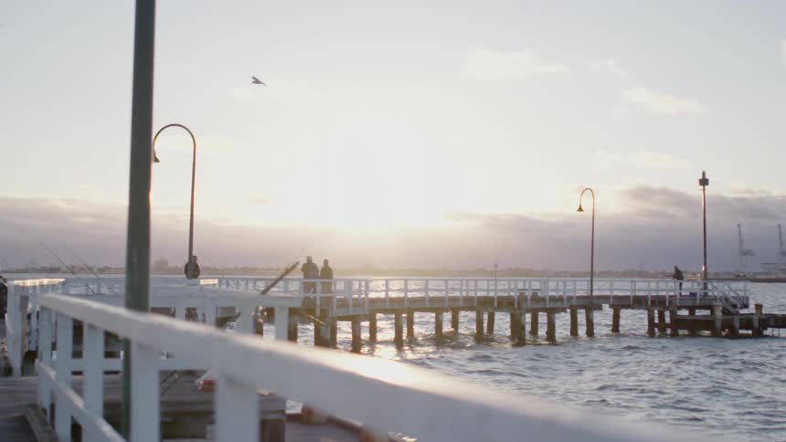 People standing on ocean dock as sun sets and seagull flies by